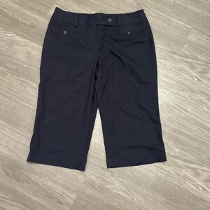 Ann Taylor Lindsey Curvey Black Crop Pants Size 14